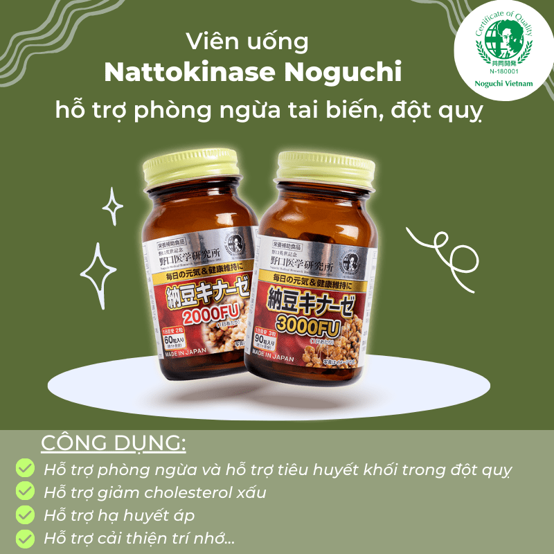 Sản Phẩm Điều Trị Đột Quỵ Nhật Bản: Nattokinase Noguchi.